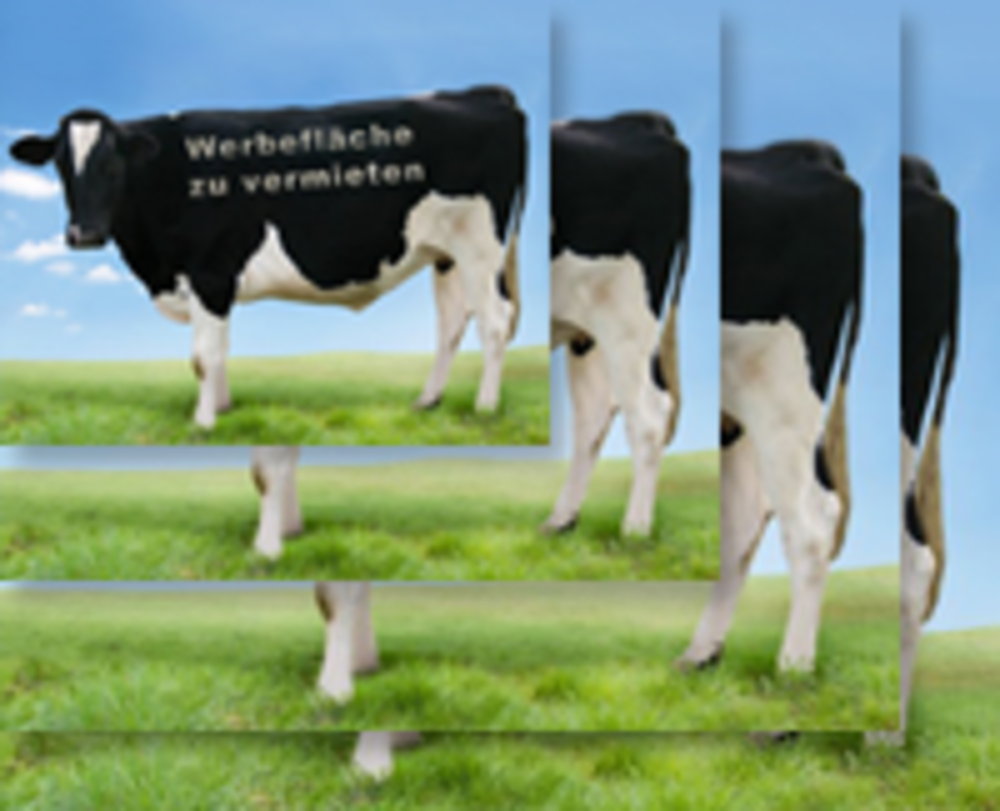 Serverseitige Bildbearbeitung